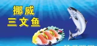 挪威三文鱼图片