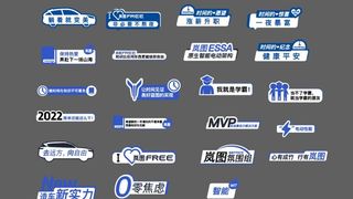 岚图汽车手举牌图片