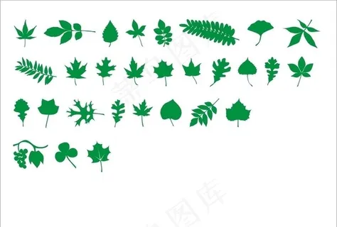 树叶图片