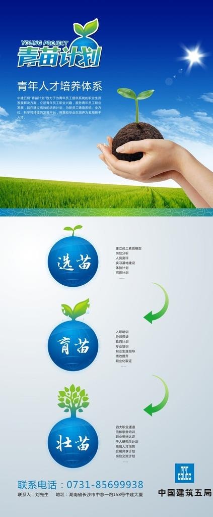 青苗计划图片