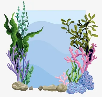 矢量海草下载图片 矢量海草下载图片