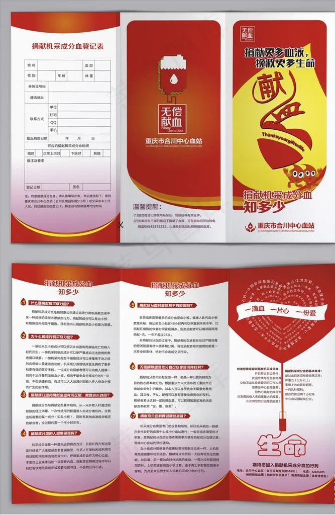 捐献机采成分血无偿献血三折页图片