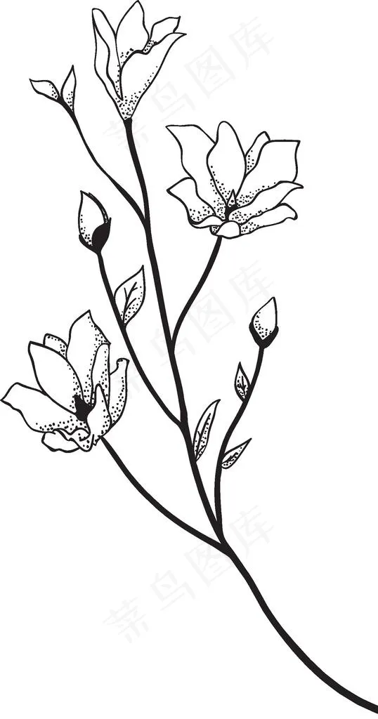 黑白手绘花藤图片eps,ai矢量模版下载