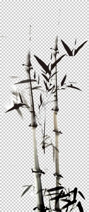 水墨竹子图片