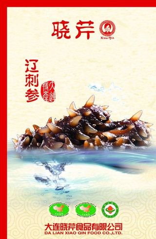 海参 晓琴图片
