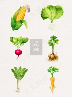 蔬菜图片 蔬菜图片