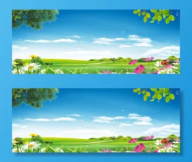 蓝天白云草地花朵图片 蓝天白云草地花朵图片