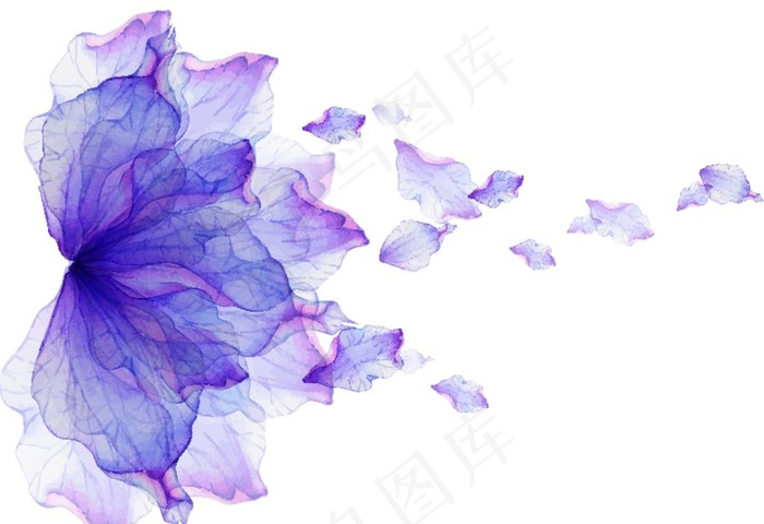 水彩花图片