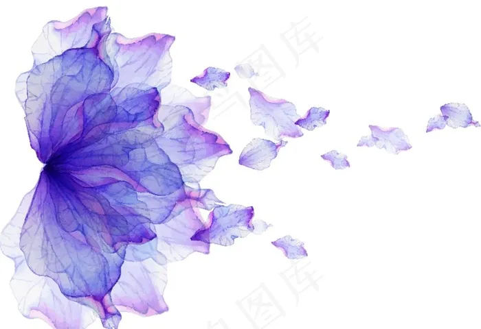 水彩花图片ai矢量模版下载