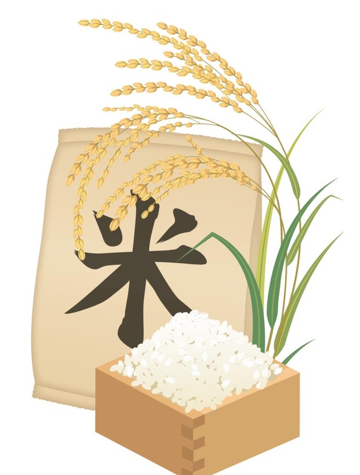 手绘大米水稻矢量素材图片