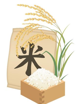 手绘大米水稻矢量素材图片