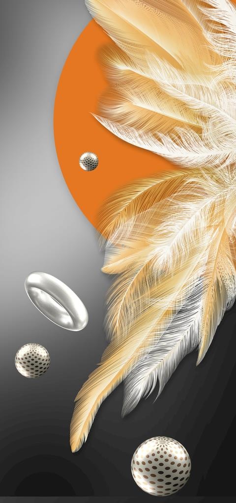 抽象金色羽毛几何图形装饰画图片