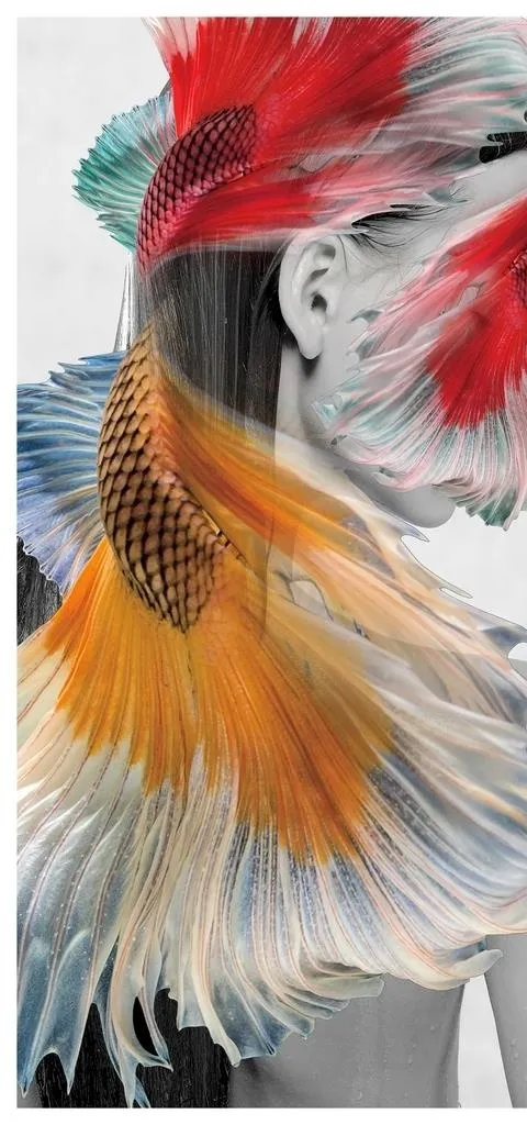 装饰画美女图片
