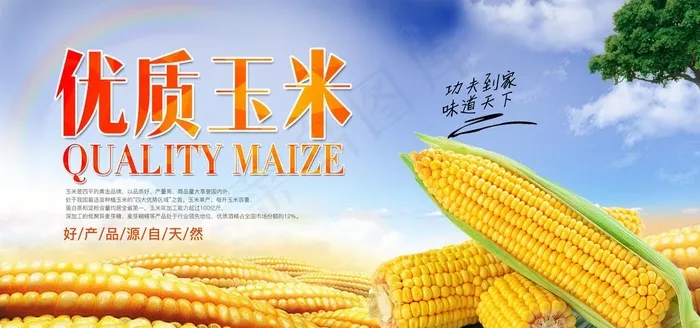 玉米海报图片psd模版下载