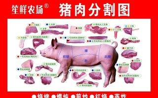 猪肉分割图图片