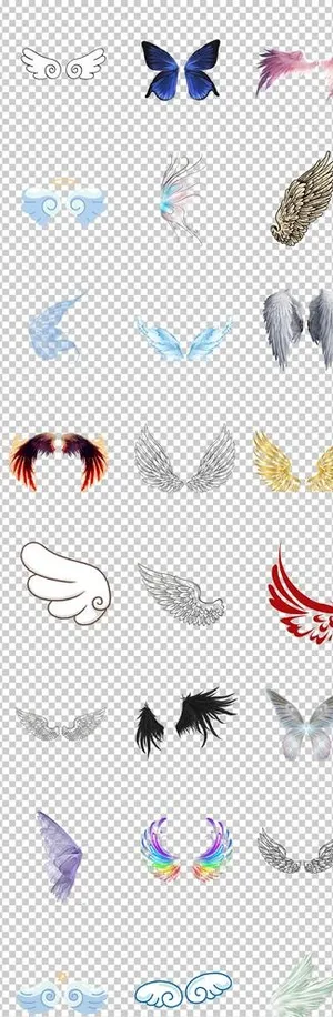 翅膀各种手绘卡通翅膀梦幻可爱翅图片