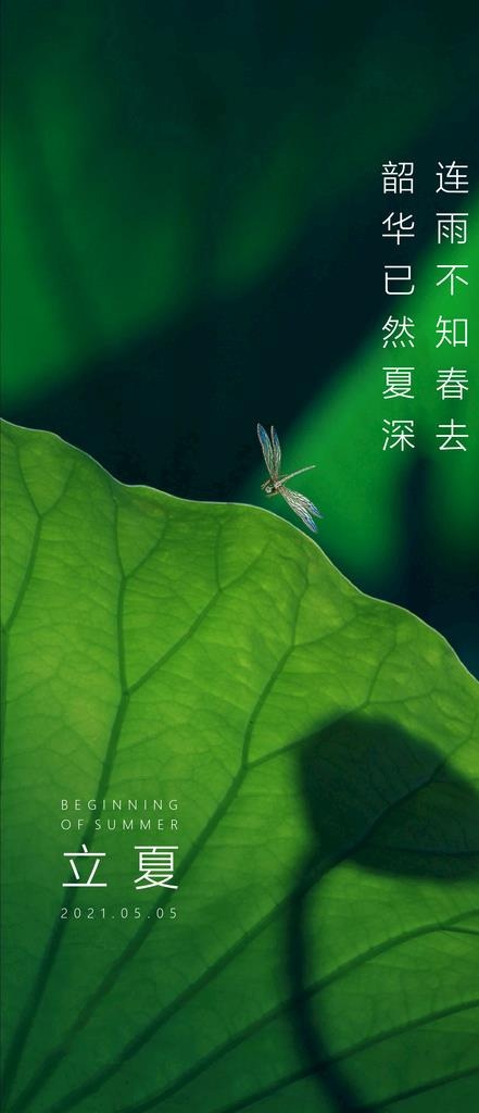立夏节气海报图片(1772x3833)psd模版下载
