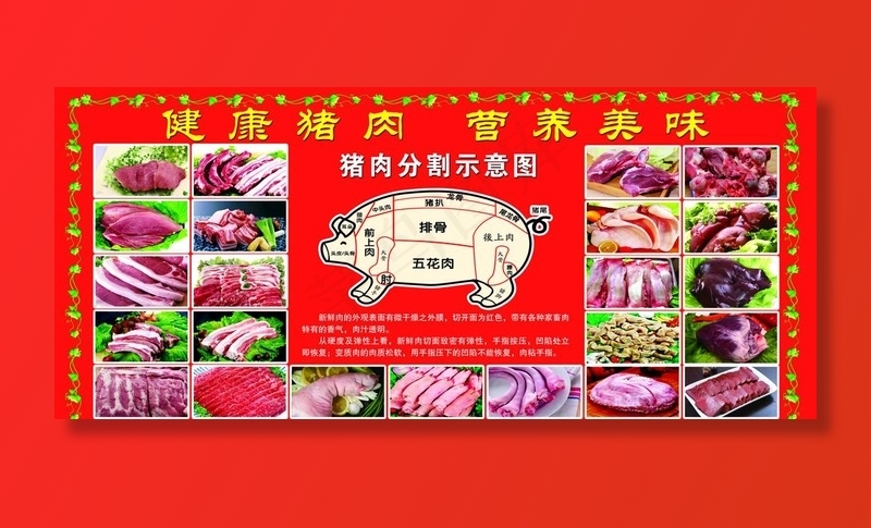 猪肉分割示意图图片psd模版下载