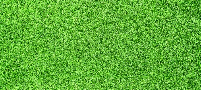 草坪图片(5646x2717)psd模版下载