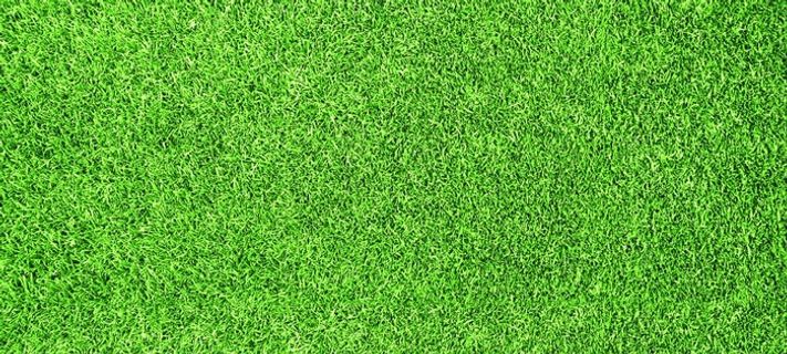 草坪图片