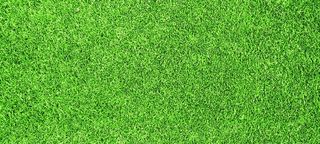 草坪图片