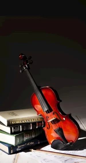 小提琴图片 小提琴图片
