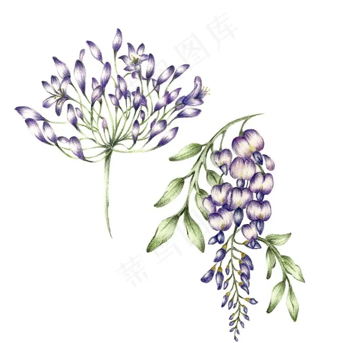 手绘花图片