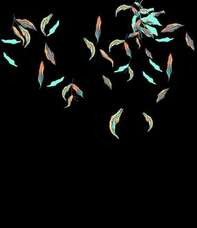 手绘   叶子图片