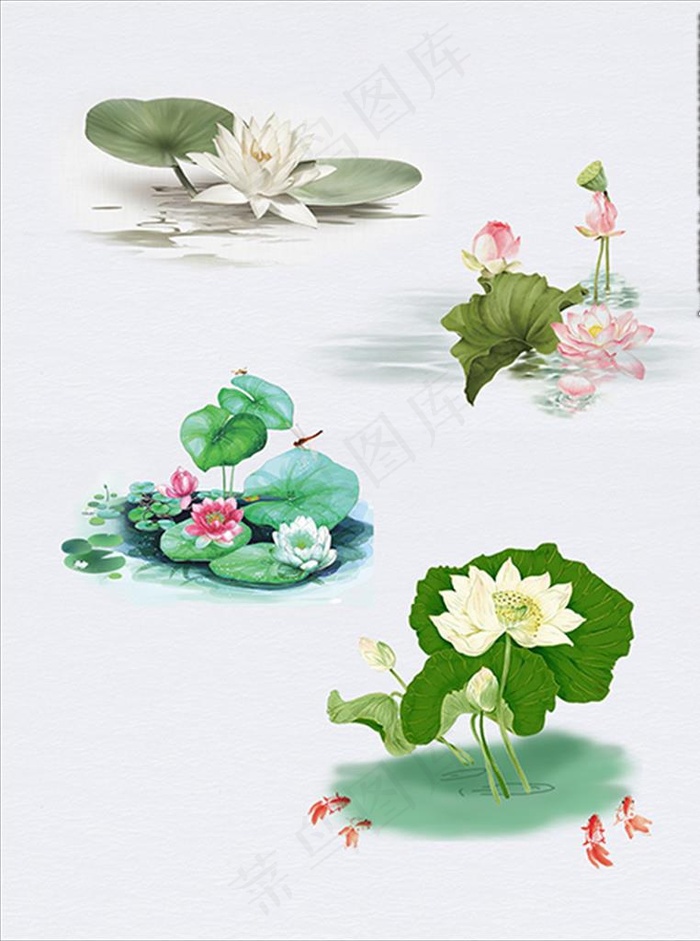 荷花素材图片