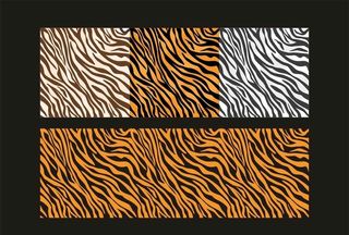 树纤纹 底纹 虎纹 纹样 木纹图片