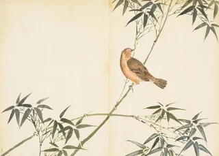 余曾三国画 百花鸟图图片