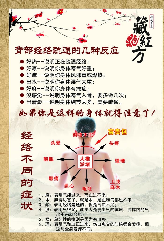 藏红方背部保养图片(1969x2756)psd模版下载