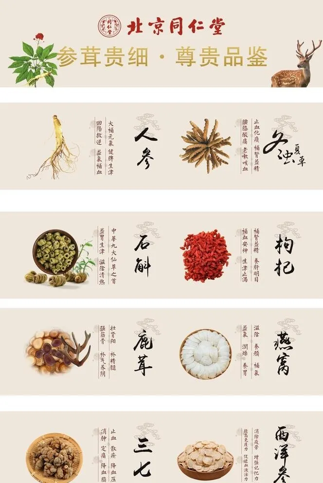 参茸灯箱片广告图片cdr矢量模版下载