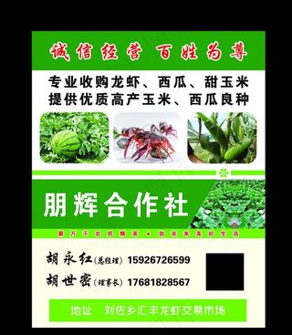 农资合作社名片图片