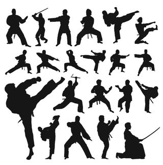 武术功夫图片