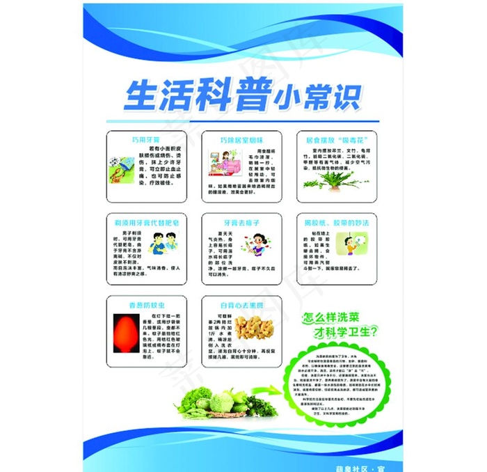 生活科普小知识图片cdr矢量模版下载