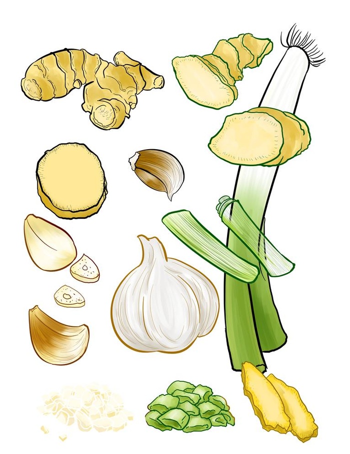 卡通葱姜蒜插画图片(3072x4107)psd模版下载