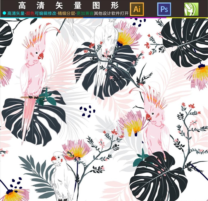 鹦鹉图片
