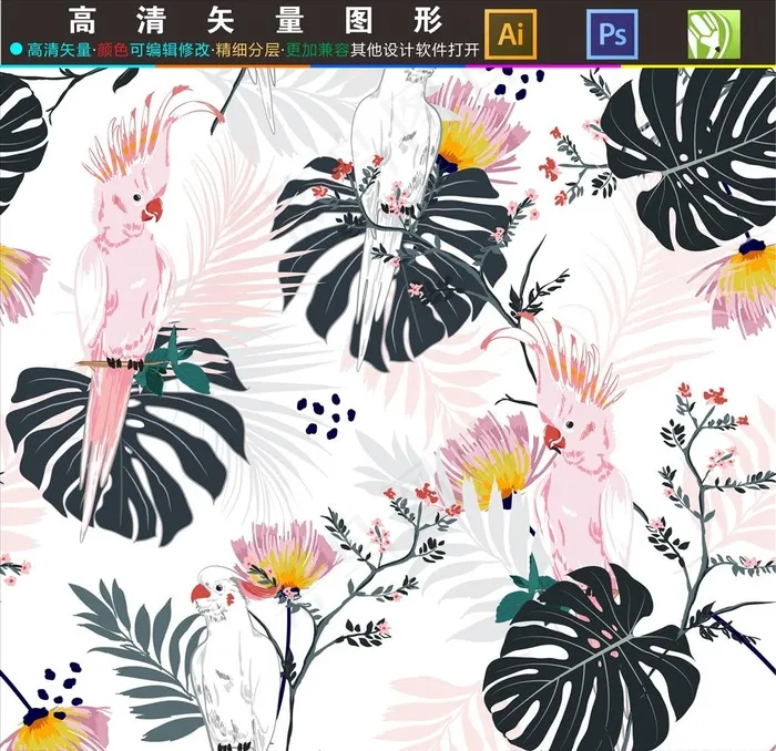 鹦鹉图片ai矢量模版下载