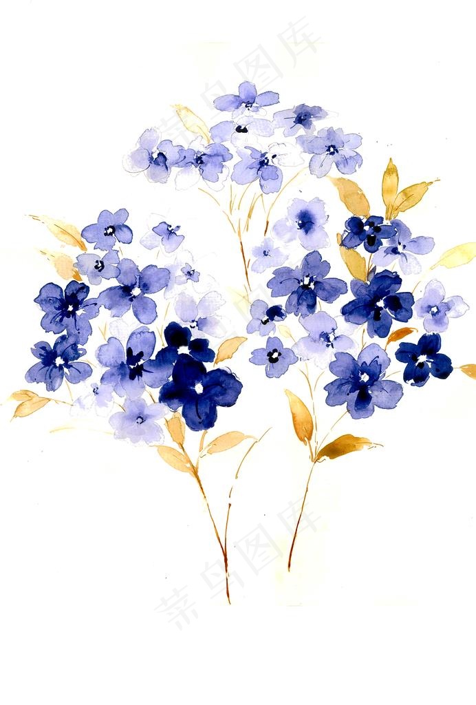 原创水彩手绘艺术花卉素材图片