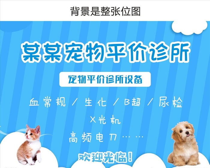 宠物平价诊所图片