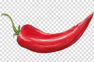 辣椒 图片