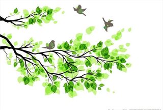 绿色树枝矢量图图片