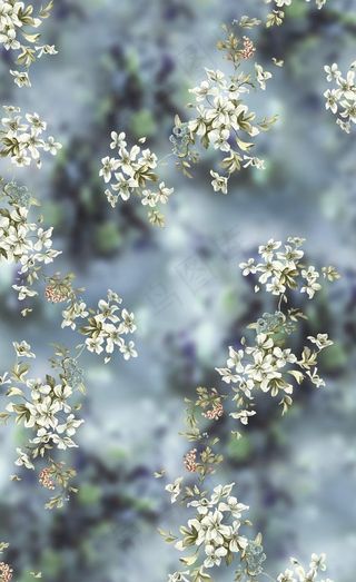 花朵 花卉 欧美印花 各种花图片