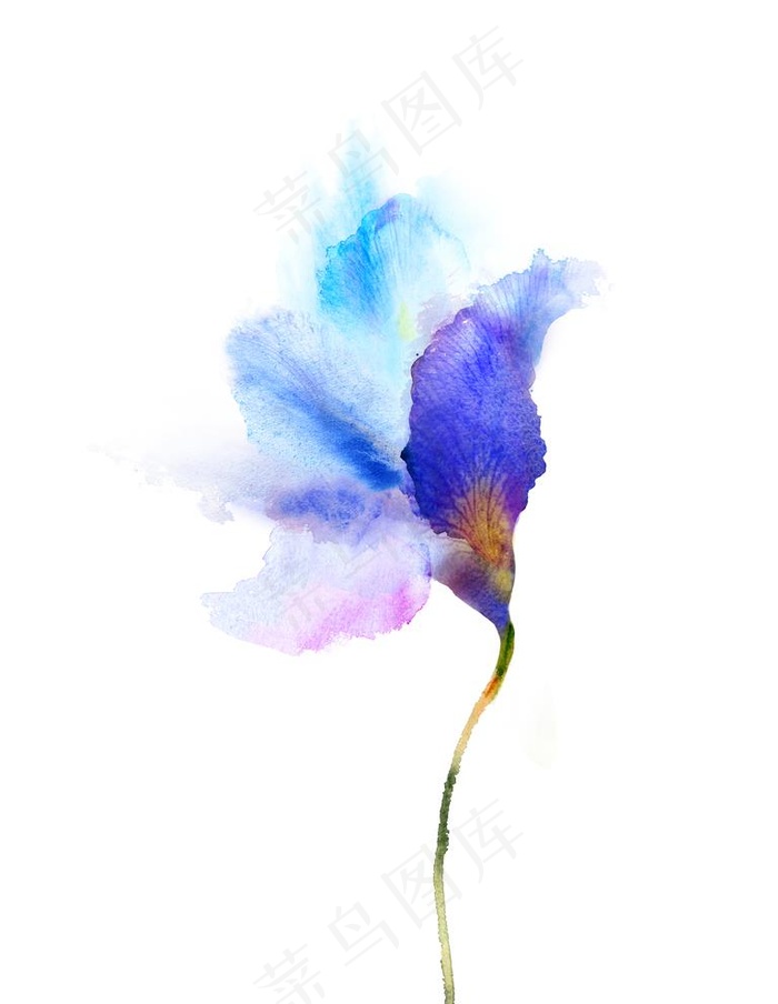 花 花朵 装饰画 水彩花图片