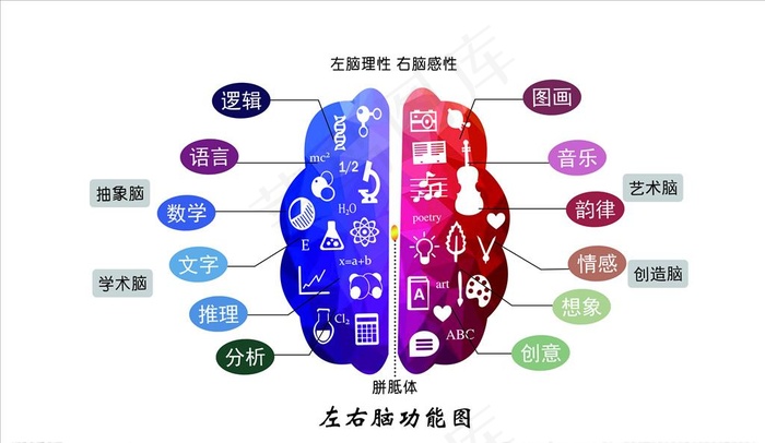 脑力分工图图片(7087x4331)psd模版下载