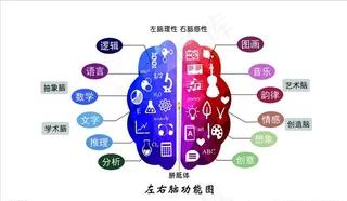 脑力分工图图片