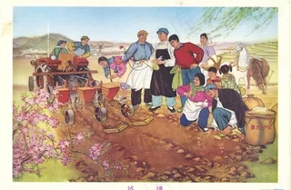 70年代  农耕  种地图片