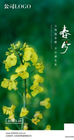 春分节气海报图片