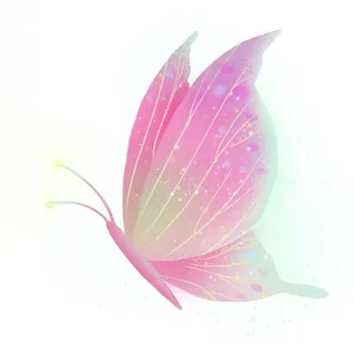 梦幻动物粉色星空蝴蝶惊蛰图片